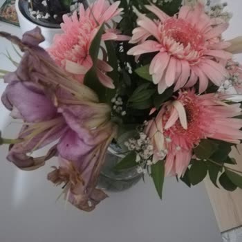 ÇiçekSepeti Çiçek Sepetinin Özensizliği