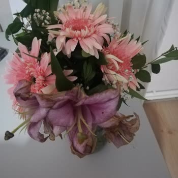 ÇiçekSepeti Çiçek Sepetinin Özensizliği