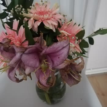 ÇiçekSepeti Çiçek Sepetinin Özensizliği