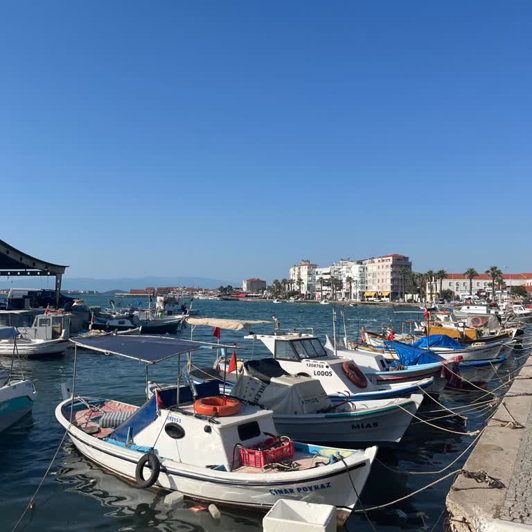Ayvalık Belediyesi Ayvalık Turunda Hayal Kırıklığı: Şeytan Sofrası Ve Kirlilik Sorunu