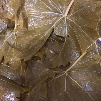 Koy_mahsulleri (Instagram) Yırtık, Kalın Damarlı Ve Aşırı Sert Yaprak Satışı!