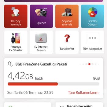 Vodafone FreeZone 100 TL Tarife Aşım Paketi
