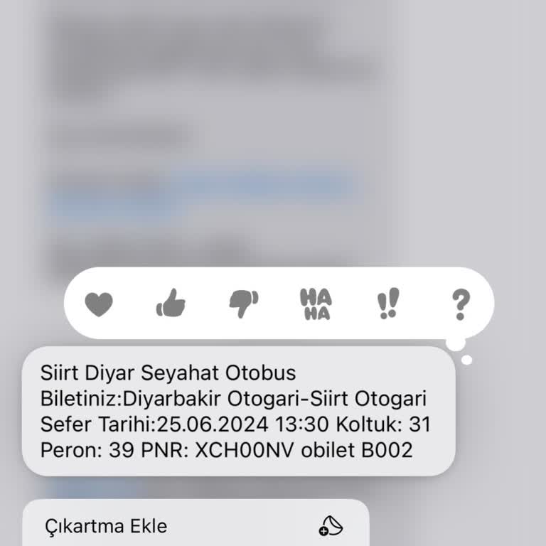 Obilet 2 DKK Geç Kaldım Diye Yolculukta Vitesin Yanına Oturmak -Siirt Otobüsü