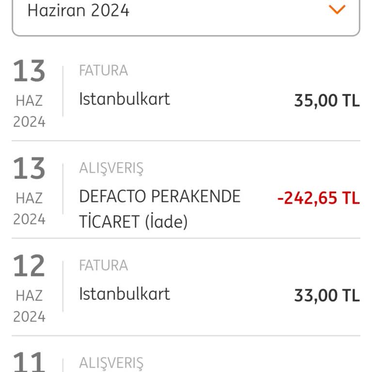 ING Para İadem Hesabıma Yatmadı