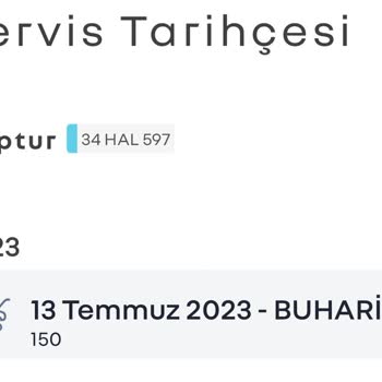 Renault 3 Ay Serviste Kalma Sorunu