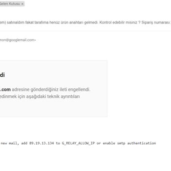 Pintipin Windows 11 Home Lisansı OEM
