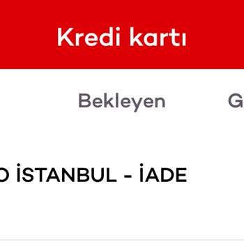 Ziraat Filo Araç Kiralama Pişmanlığım (balatası Bitik Insignia)