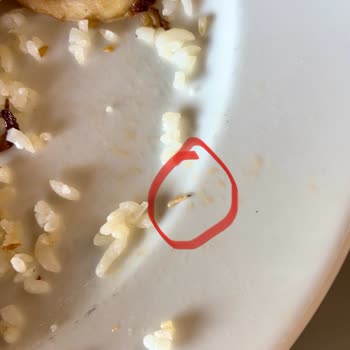 Side Star Hotels Burnumuzdan Gelen Tatil