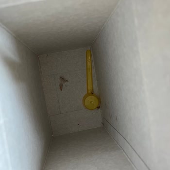 Bebelac Gold 2 Mama Böceklenmiş!