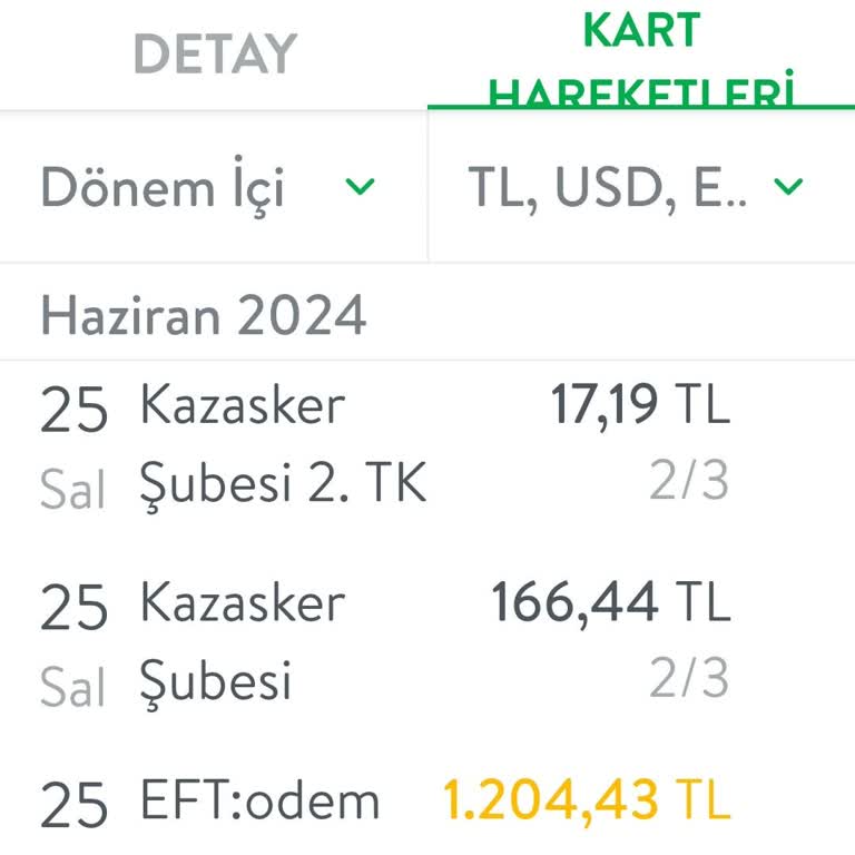 Param Sağlam (Paramsaglam.com) Güvenilir Olmayan Site: Paramı Geri İstiyorum!