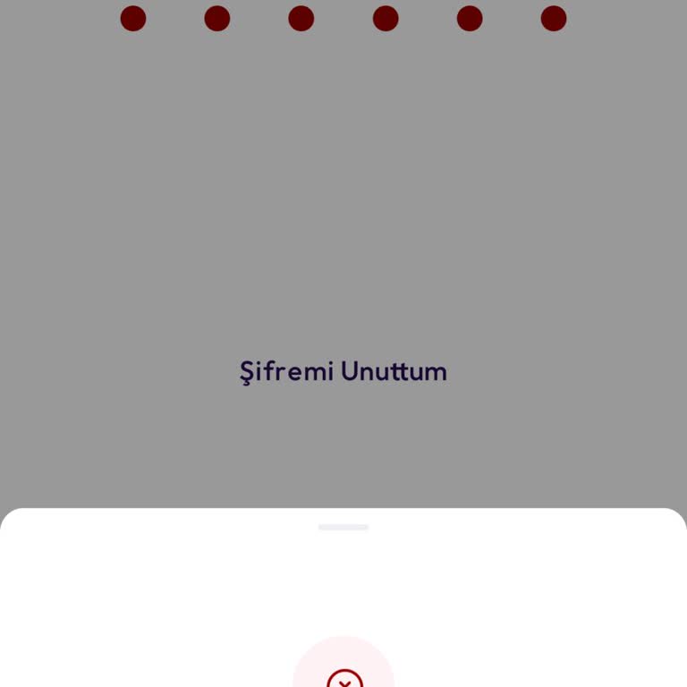 Param Opp Uygulama Hatası