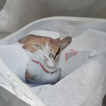 Aras Kargo Tazmin Edemediğim Zararım, İlgisiz Ve Bilgisiz Yetkili Tutumları