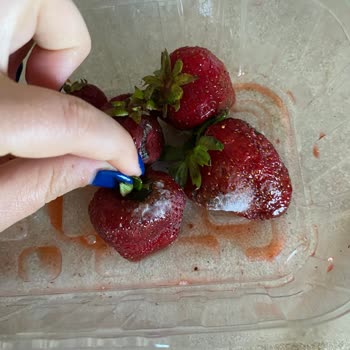 Getirden Gelen Küflü Ürünler