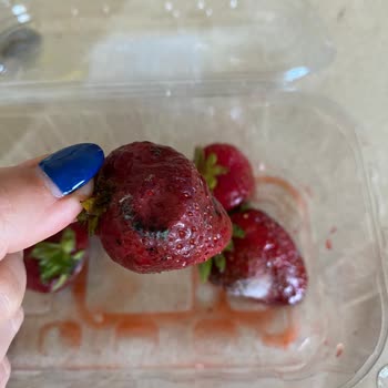 Getirden Gelen Küflü Ürünler