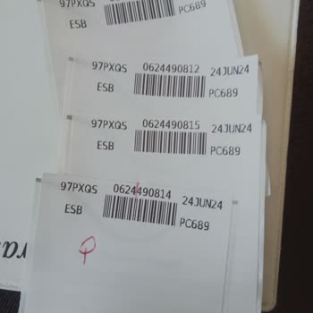 Pegasus Kayıp Bagaj Ve Valizlerimiz