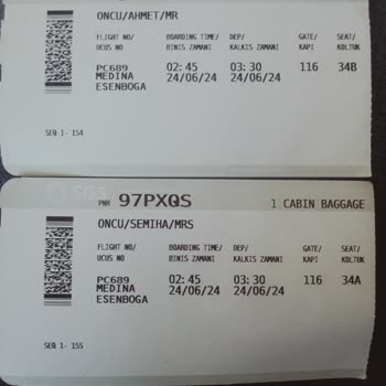 Pegasus Kayıp Bagaj Ve Valizlerimiz