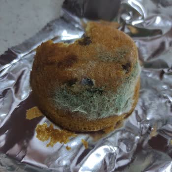 Torku Kek Küflü Çıktı