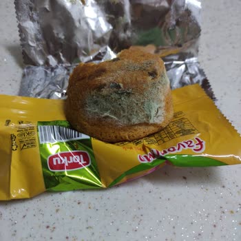 Torku Kek Küflü Çıktı