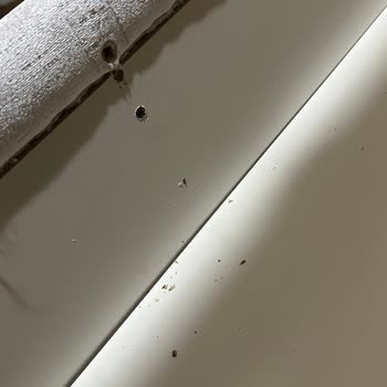 Bellona Larissa Yatak Odası Takımı Eksik Civata