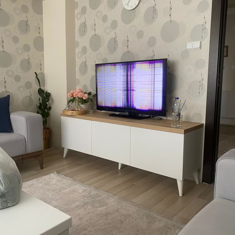 Vestel Televizyon Ekran Gitti