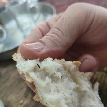 A101den Aldığım Ekmeğini İçinden Böcek Çıktı