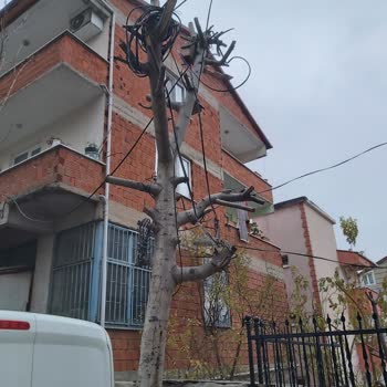Türk Telekom İşini Yapmamaları İnternetin Olmaması