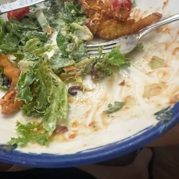 Cookshop Salata İçerisinde Gezen Büyük Bir Solucan Çıktı