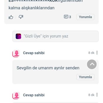 KizlarSoruyor Hakarete Uğradım Gizli Kullanıcı Bir Kadın Tarafından