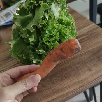 Şok Market Çürük Ürün Göndermesi