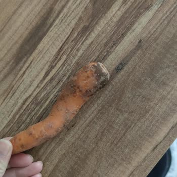 Şok Market Çürük Ürün Göndermesi
