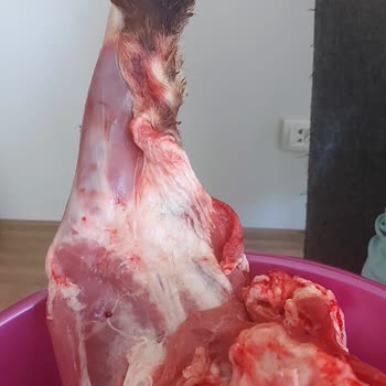 Migros Gönderilen Kurbanın Hijyenik Olmaması