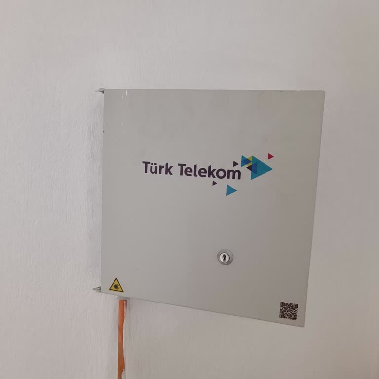 Türk Telekom İnternet Taşıma Sürecinde Yaşanan Sorunlar