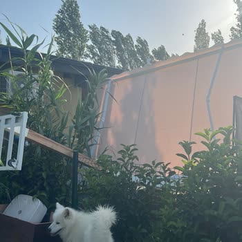 Kahemara Yanlış Ölçüler Geç Teslimat Ve Tehlikeli Kurulum