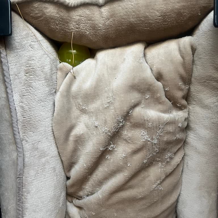 Yataş Kedi-köpek Yatağı Sorunu