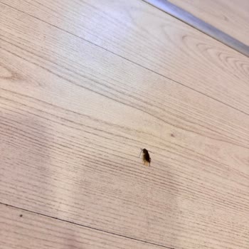 Migros AVM De Bebek Bakım Odası