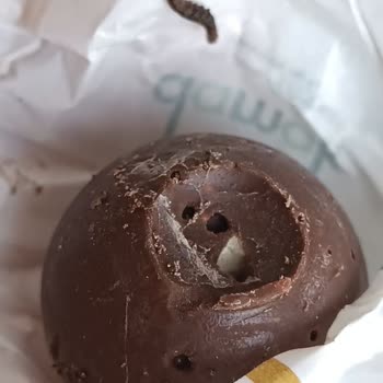 Nestle Çikolatanın İçinde Kurt Çıktı