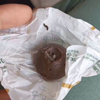 Nestle Çikolatanın İçinde Kurt Çıktı