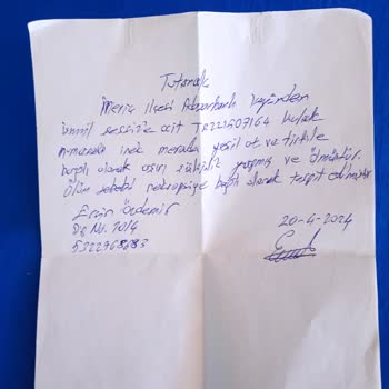 Hayvan Zehirli Ölüm Hasarı TARSİM Ödeme Yapmaması