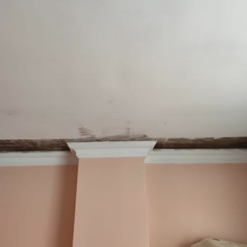 My Home Insurance from Anadolu Sigorta Doesn't Cover Rain Damage