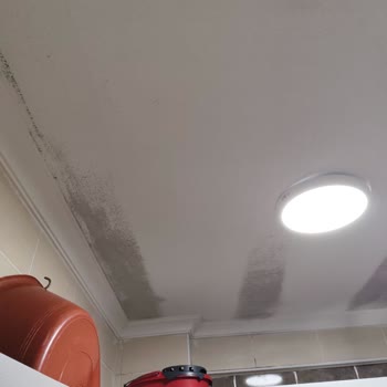 My Home Insurance from Anadolu Sigorta Doesn't Cover Rain Damage