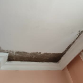 My Home Insurance from Anadolu Sigorta Doesn't Cover Rain Damage