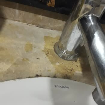 Scylax Family Club Hayal Kırıklığına Uğratan Tatil Deneyimi