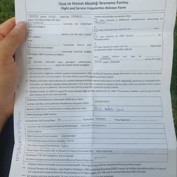 THY Overbooking Mağduriyeti Ve Tazminat Sorunu