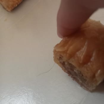 Tatbak Gıda Hijyen Skandalı: Siparişte Kıl Çıktı!