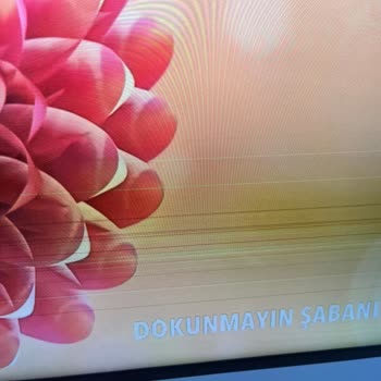 Samsung Qe 50Q60T TV Panel Arızası