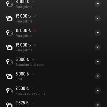 BaşarıBet Onaylanmış Hesaba Tekrar Onay İstiyorlar