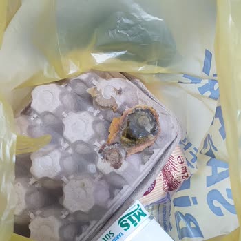 Şok Market Uygulaması Pişmanlık