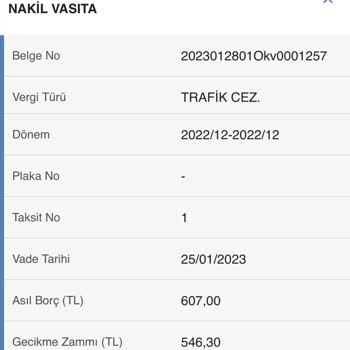 Gelir İdaresi Başkanlığı Trafik Cezası Mesajı