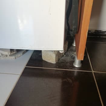 Kalpe Houses Family Kerpe Pişmanlığı