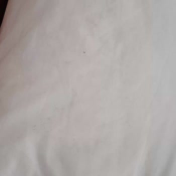 Kalpe Houses Family Kerpe Pişmanlığı